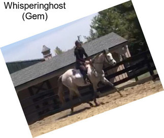 Whisperinghost (Gem)