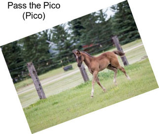Pass the Pico (Pico)