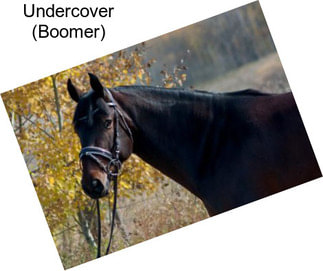Undercover (Boomer)