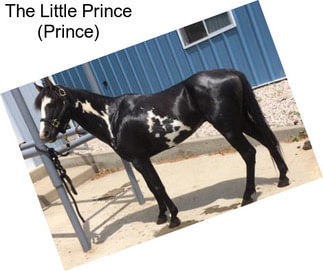 The Little Prince (Prince)