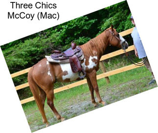 Three Chics McCoy (Mac)
