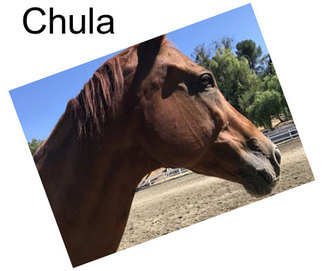 Chula