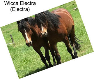 Wicca Electra (Electra)