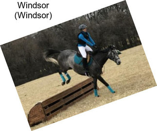 Windsor (Windsor)