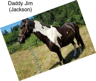 Daddy Jim (Jackson)