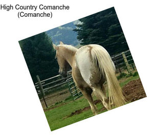 High Country Comanche (Comanche)