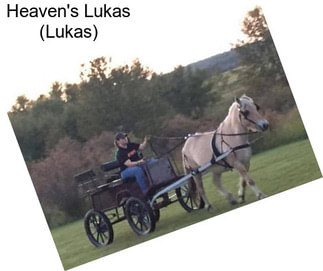 Heaven\'s Lukas (Lukas)