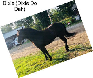 Dixie (Dixie Do Dah)