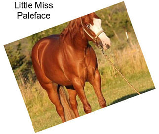 Little Miss Paleface