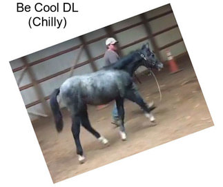 Be Cool DL (Chilly)