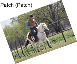 Patch (Patch)