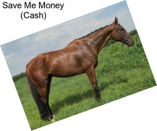 Save Me Money (Cash)