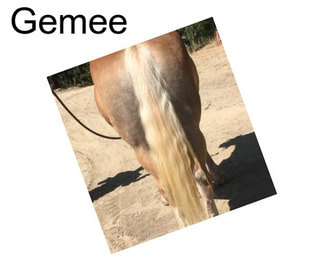 Gemee