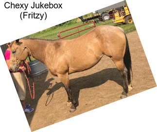 Chexy Jukebox (Fritzy)