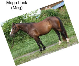 Mega Luck (Meg)