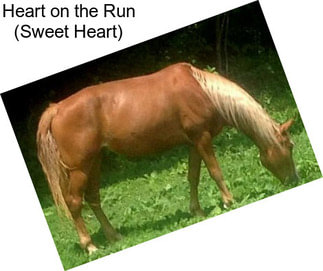 Heart on the Run (Sweet Heart)