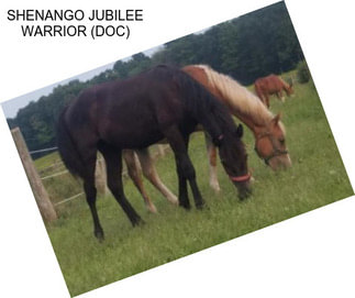 SHENANGO JUBILEE WARRIOR (DOC)