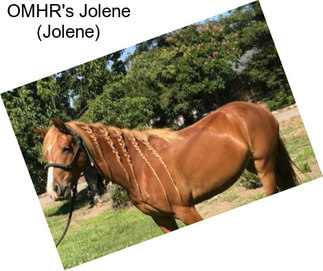 OMHR\'s Jolene (Jolene)