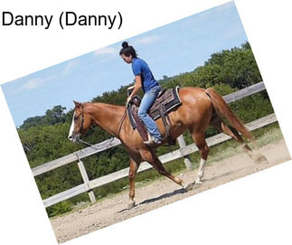 Danny (Danny)