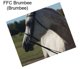 FFC Brumbee (Brumbee)