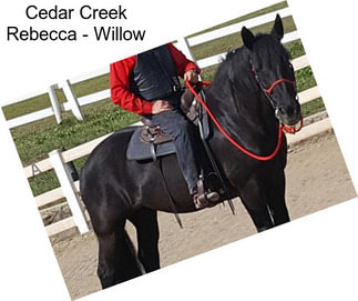 Cedar Creek Rebecca - Willow