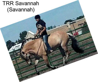 TRR Savannah (Savannah)
