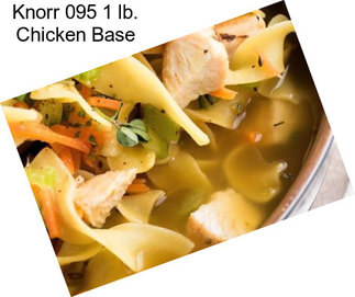 Knorr 095 1 lb. Chicken Base