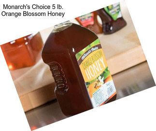 Monarch\'s Choice 5 lb. Orange Blossom Honey