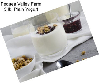 Pequea Valley Farm 5 lb. Plain Yogurt
