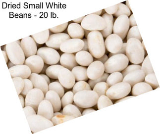 Dried Small White Beans - 20 lb.