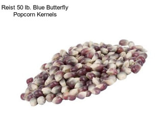 Reist 50 lb. Blue Butterfly Popcorn Kernels