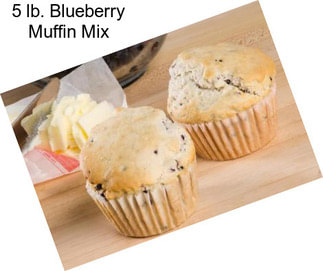 5 lb. Blueberry Muffin Mix