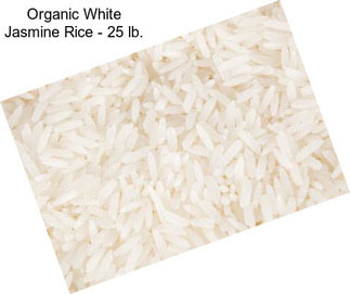 Organic White Jasmine Rice - 25 lb.