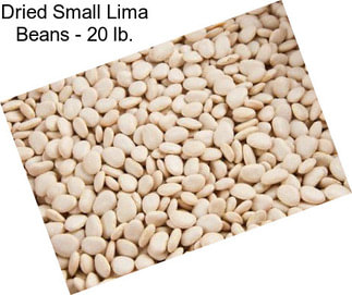 Dried Small Lima Beans - 20 lb.