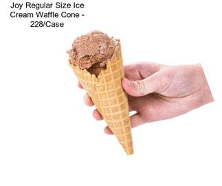 Joy Regular Size Ice Cream Waffle Cone - 228/Case
