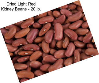 Dried Light Red Kidney Beans - 20 lb.