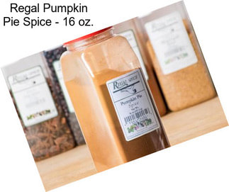 Regal Pumpkin Pie Spice - 16 oz.