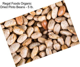 Regal Foods Organic Dried Pinto Beans - 5 lb.
