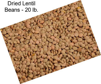 Dried Lentil Beans - 20 lb.