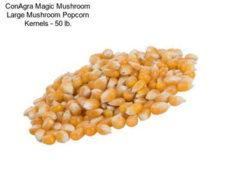 ConAgra Magic Mushroom Large Mushroom Popcorn Kernels - 50 lb.