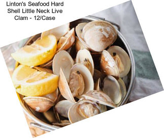 Linton\'s Seafood Hard Shell Little Neck Live Clam - 12/Case
