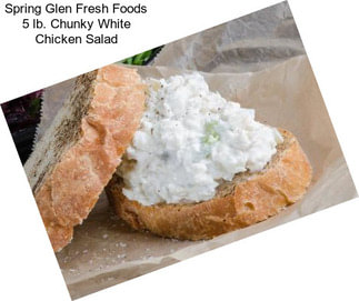 Spring Glen Fresh Foods 5 lb. Chunky White Chicken Salad