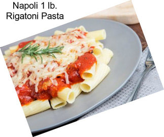 Napoli 1 lb. Rigatoni Pasta