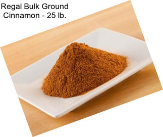 Regal Bulk Ground Cinnamon - 25 lb.