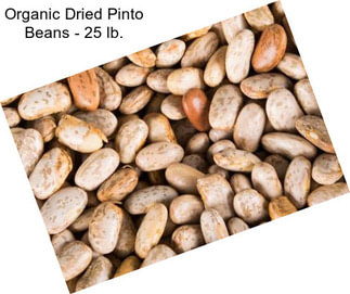 Organic Dried Pinto Beans - 25 lb.