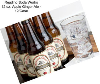 Reading Soda Works 12 oz. Apple Ginger Ale - 12/Case