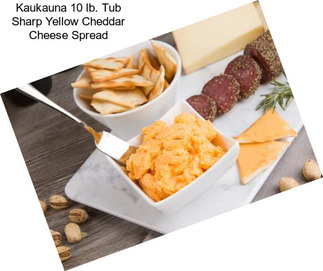 Kaukauna 10 lb. Tub Sharp Yellow Cheddar Cheese Spread