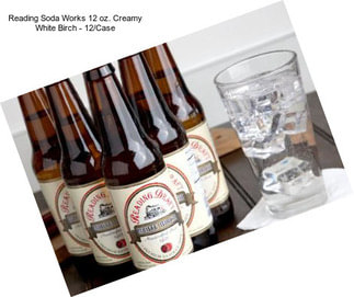 Reading Soda Works 12 oz. Creamy White Birch - 12/Case