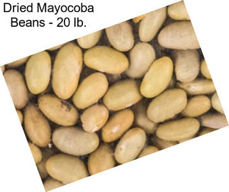 Dried Mayocoba Beans - 20 lb.