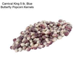 Carnival King 5 lb. Blue Butterfly Popcorn Kernels